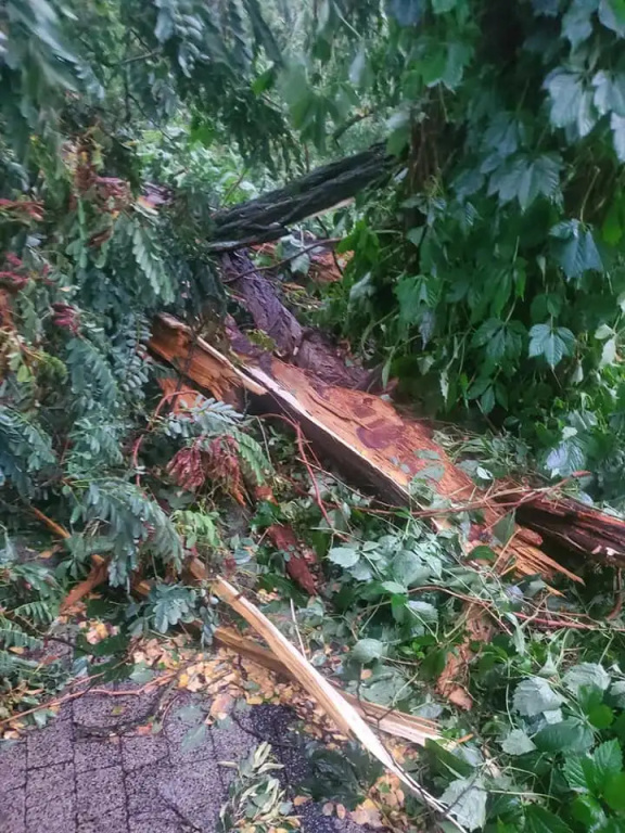 Park zamknięty do odwołania. Trwa usuwanie skutków wichury