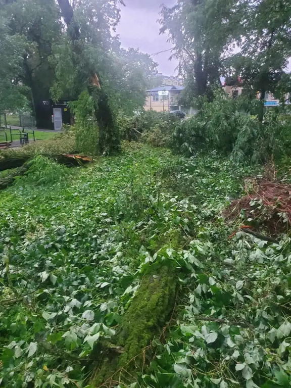 Park zamknięty do odwołania. Trwa usuwanie skutków wichury