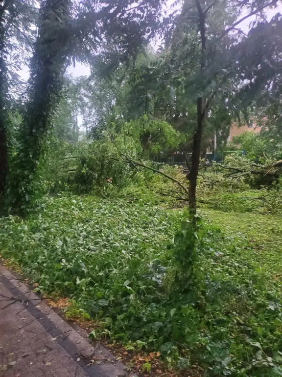 Park zamknięty do odwołania. Trwa usuwanie skutków wichury