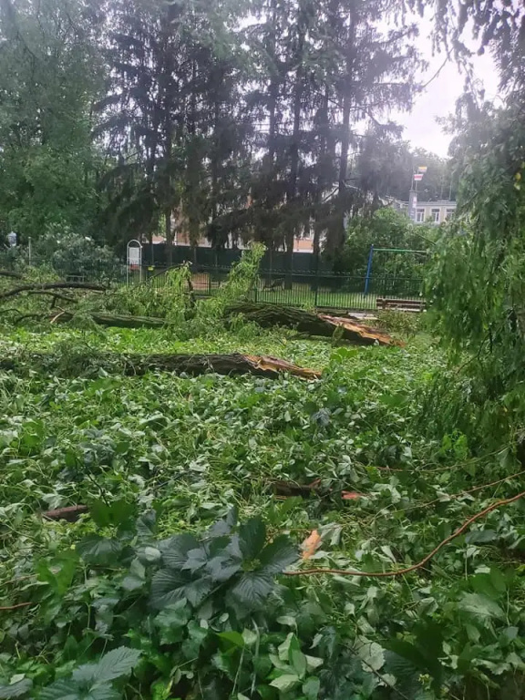 Park zamknięty do odwołania. Trwa usuwanie skutków wichury