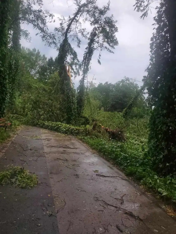 Park zamknięty do odwołania. Trwa usuwanie skutków wichury