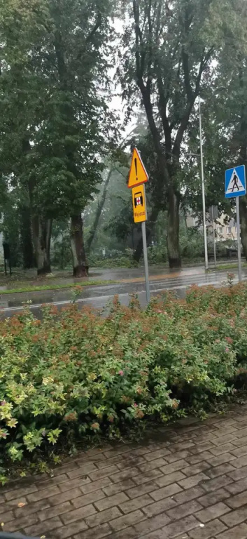 Park zamknięty do odwołania. Trwa usuwanie skutków wichury