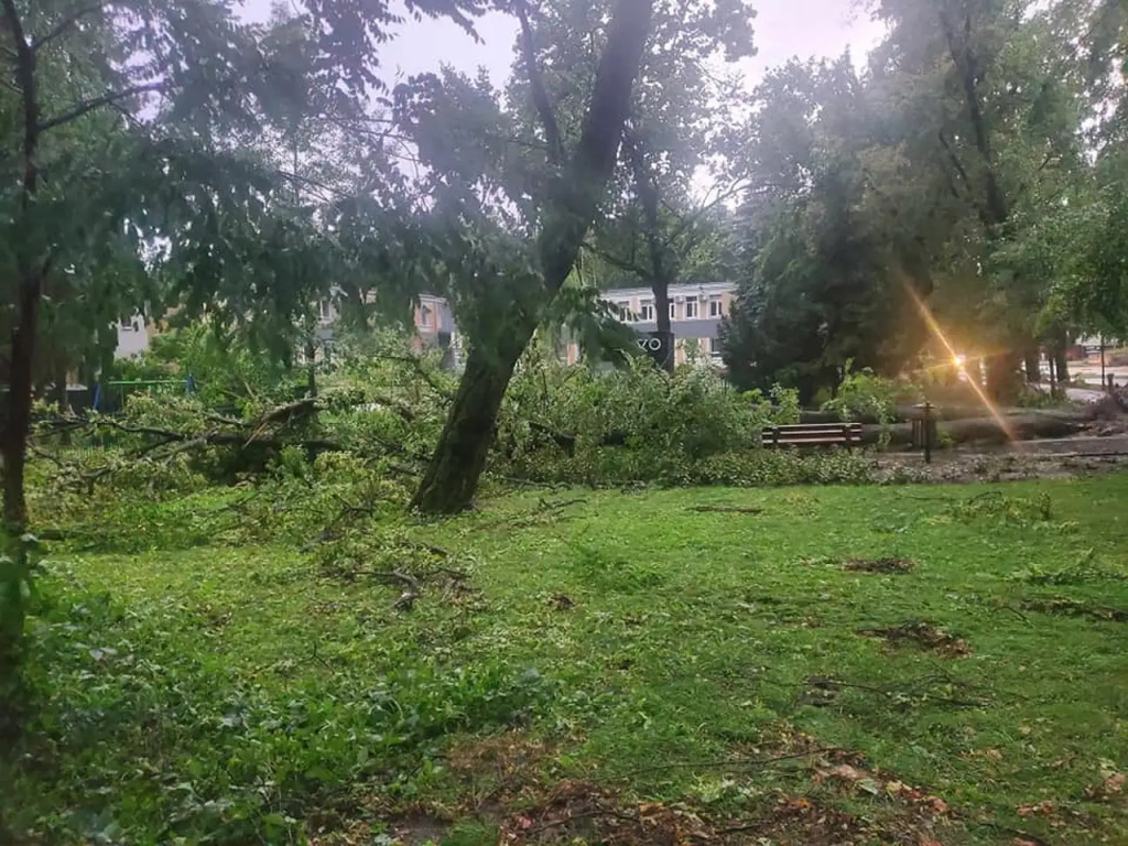 Park zamknięty do odwołania. Trwa usuwanie skutków wichury
