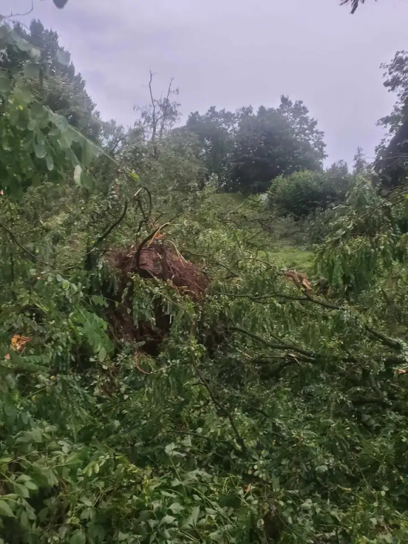 Park zamknięty do odwołania. Trwa usuwanie skutków wichury