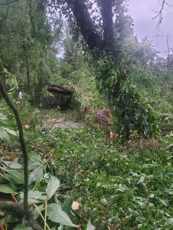 Park zamknięty do odwołania. Trwa usuwanie skutków wichury