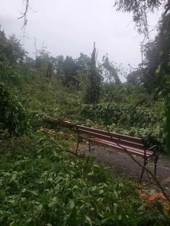 Park zamknięty do odwołania. Trwa usuwanie skutków wichury