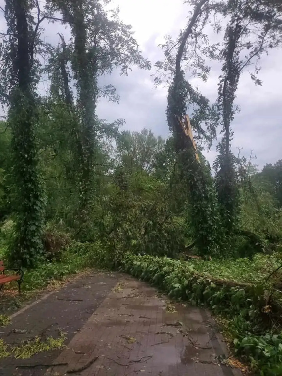 Park zamknięty do odwołania. Trwa usuwanie skutków wichury
