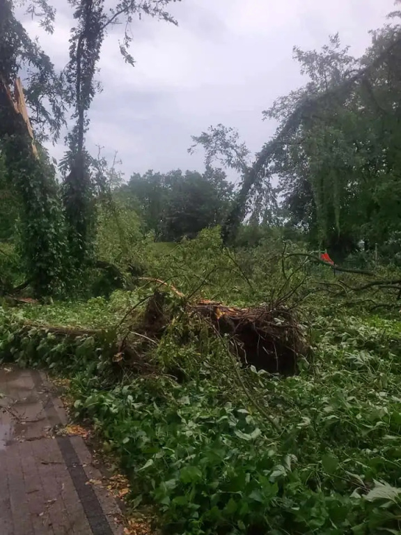 Park zamknięty do odwołania. Trwa usuwanie skutków wichury