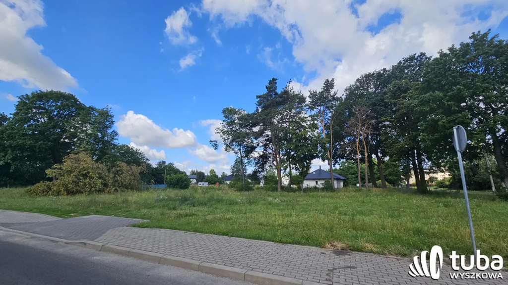 Kto(ś) wycina drzewa?