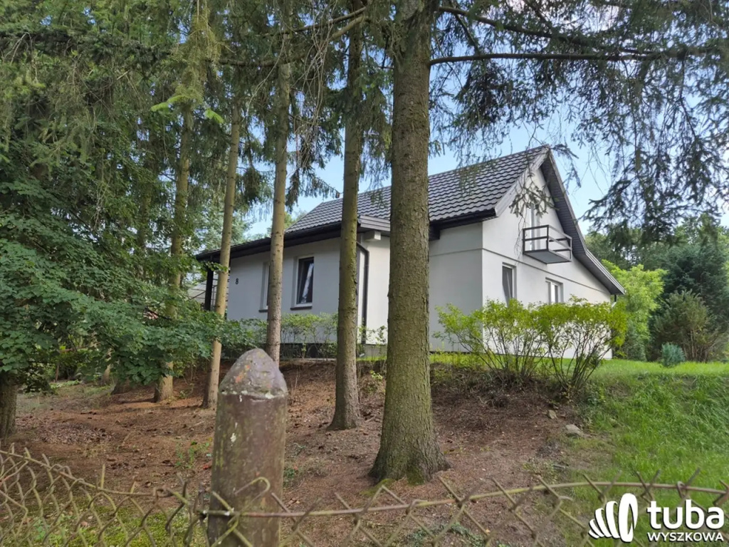 Mostówka Letnisko - tak to się zaczęło, czyli spacer z historią w tle
