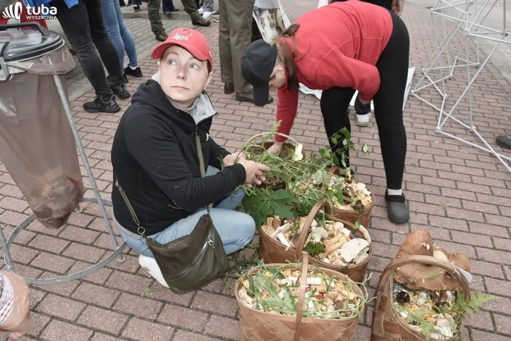 Wielkie Grzybobranie po raz XXII