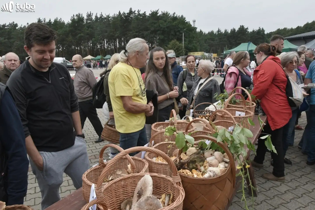 Wielkie Grzybobranie po raz XXII