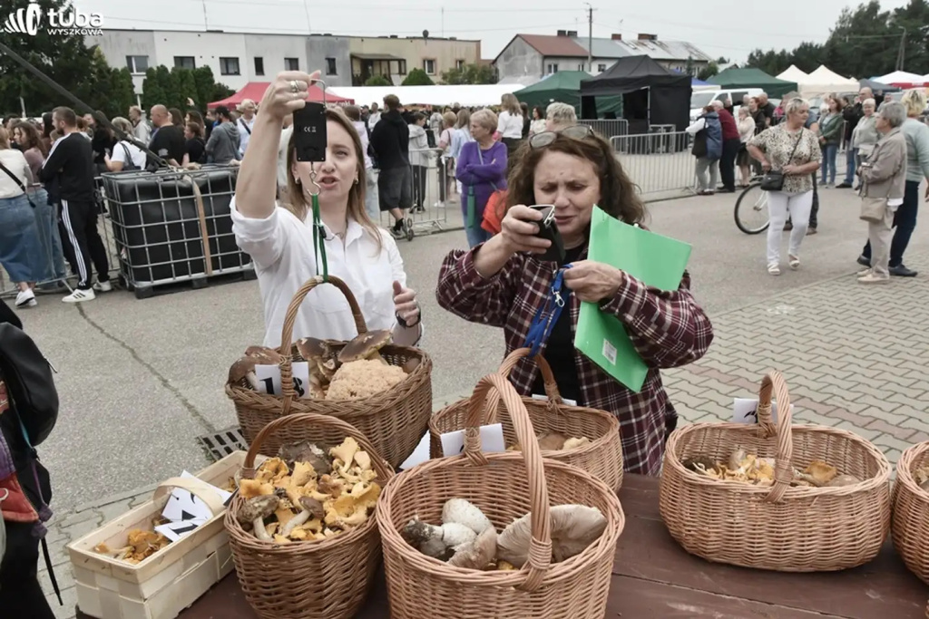 Wielkie Grzybobranie po raz XXII