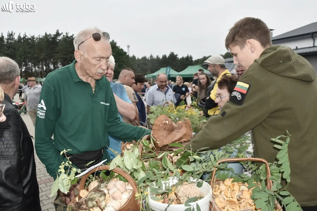 Wielkie Grzybobranie po raz XXII