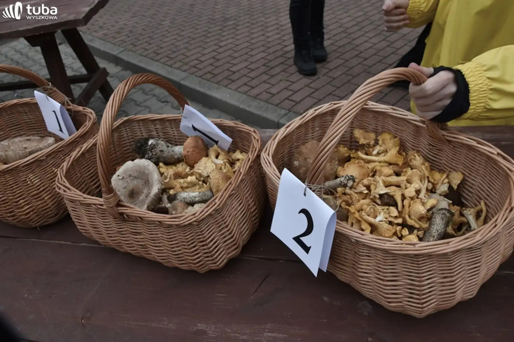 Wielkie Grzybobranie po raz XXII