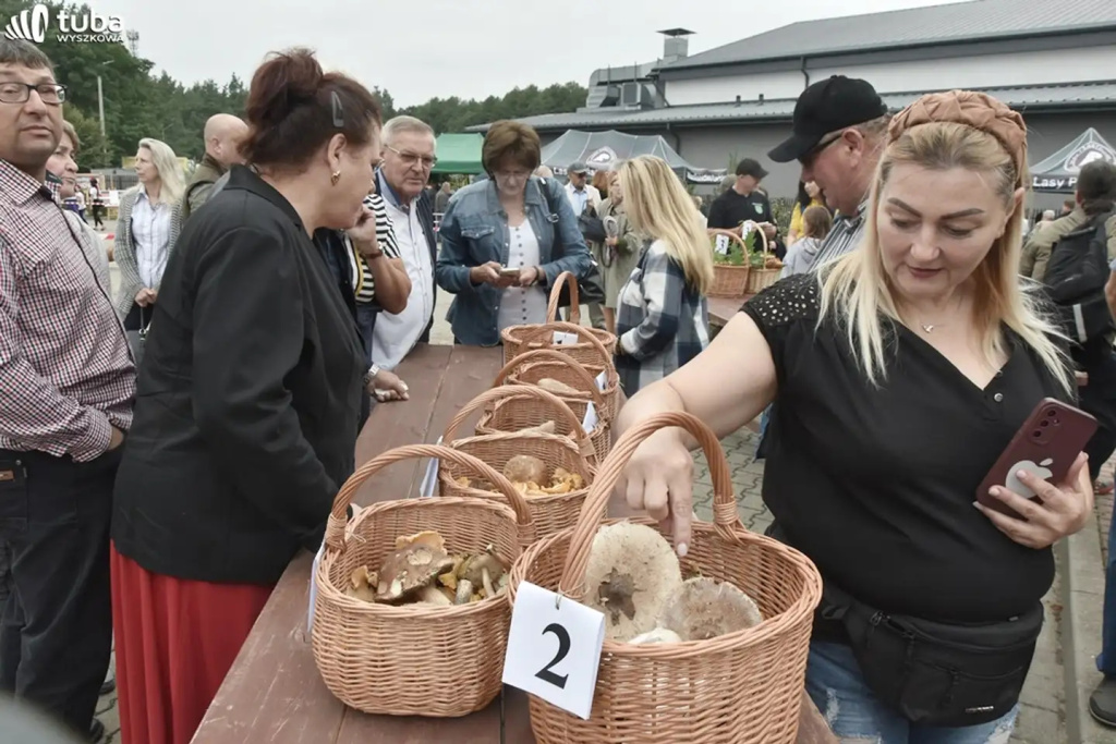 Wielkie Grzybobranie po raz XXII