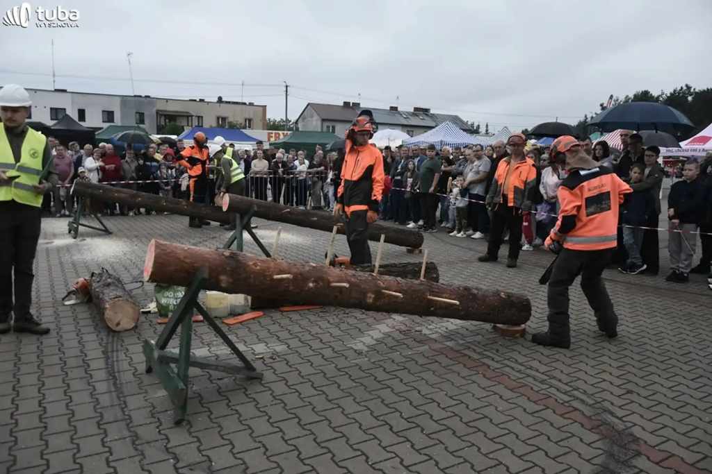 Wielkie Grzybobranie po raz XXII