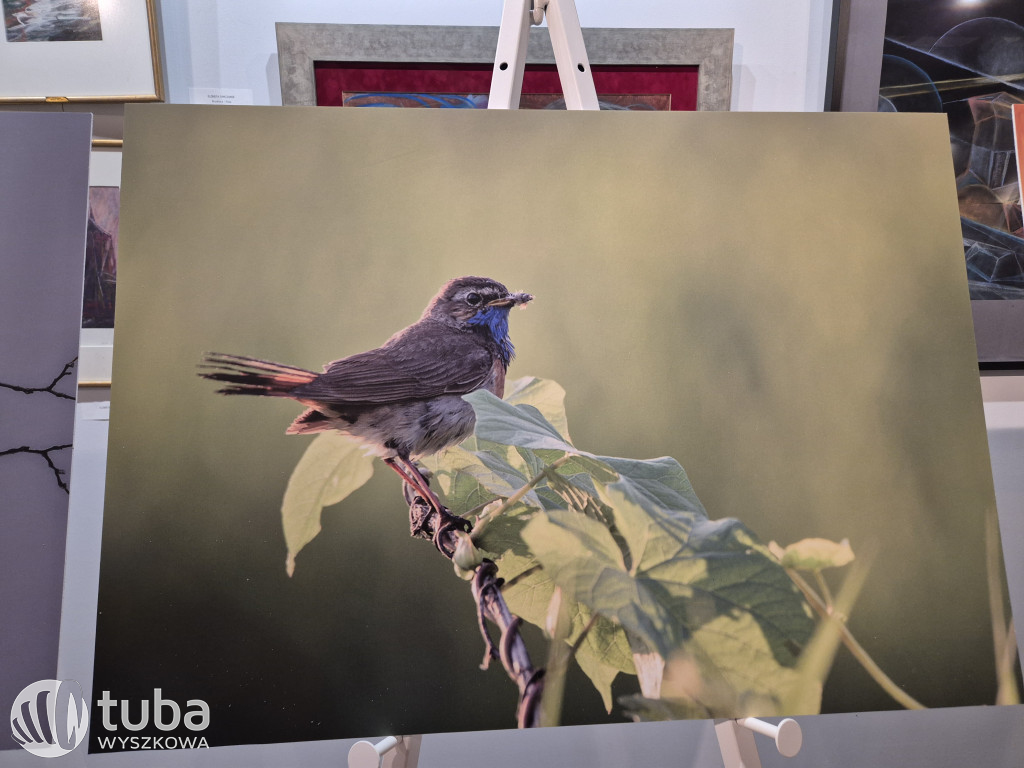 Premiera albumu fotograficznego o Bugu
