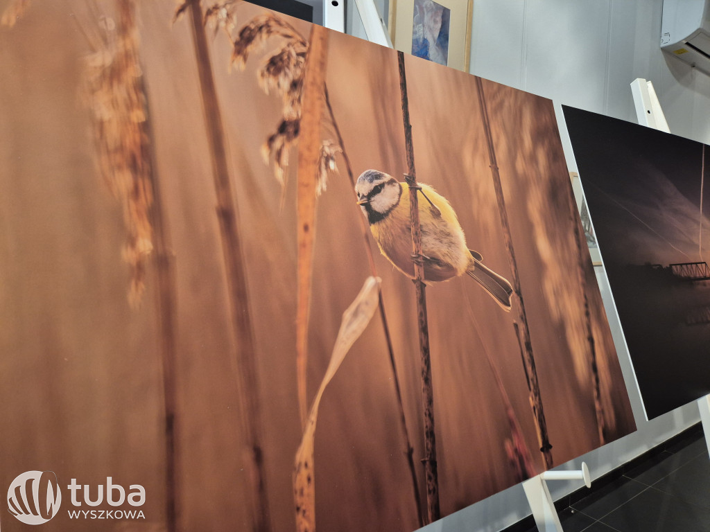 Premiera albumu fotograficznego o Bugu