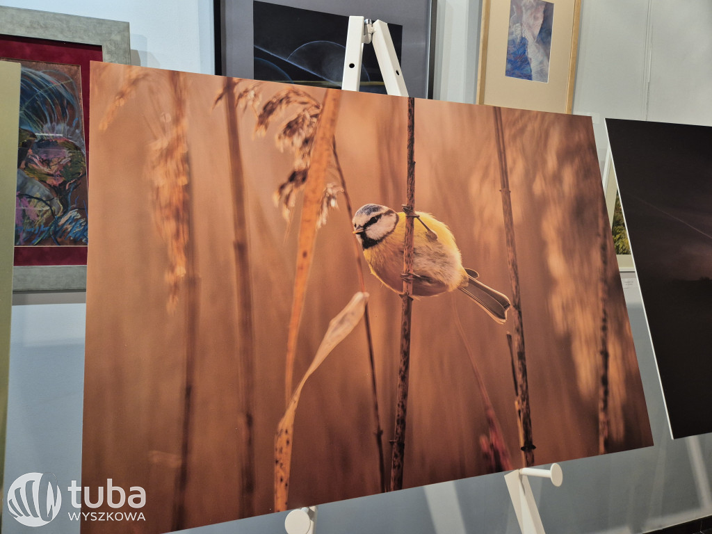Premiera albumu fotograficznego o Bugu