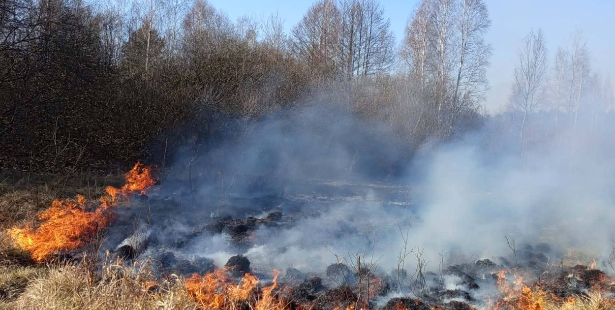 Ogromny pożar łąk i lasów w gminie Zabrodzie