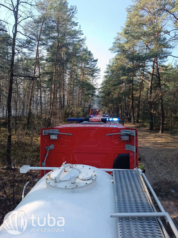 Ogromny pożar łąk i lasów w gminie Zabrodzie