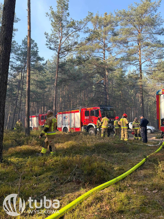 Ogromny pożar łąk i lasów w gminie Zabrodzie
