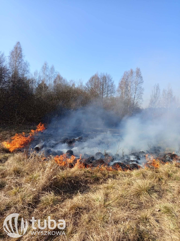 Ogromny pożar łąk i lasów w gminie Zabrodzie