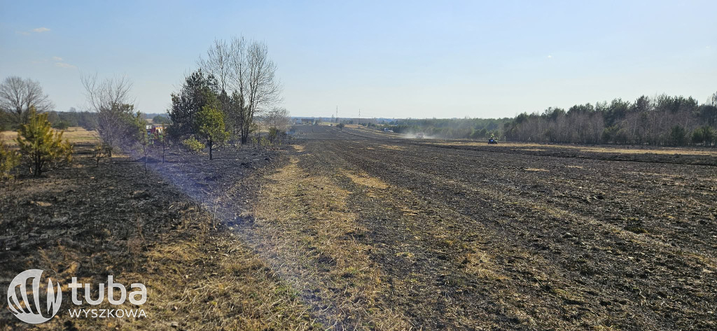 Ogromny pożar łąk i lasów w gminie Zabrodzie
