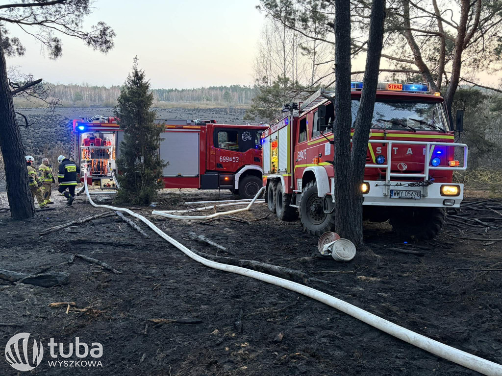 Ogromny pożar łąk i lasów w gminie Zabrodzie