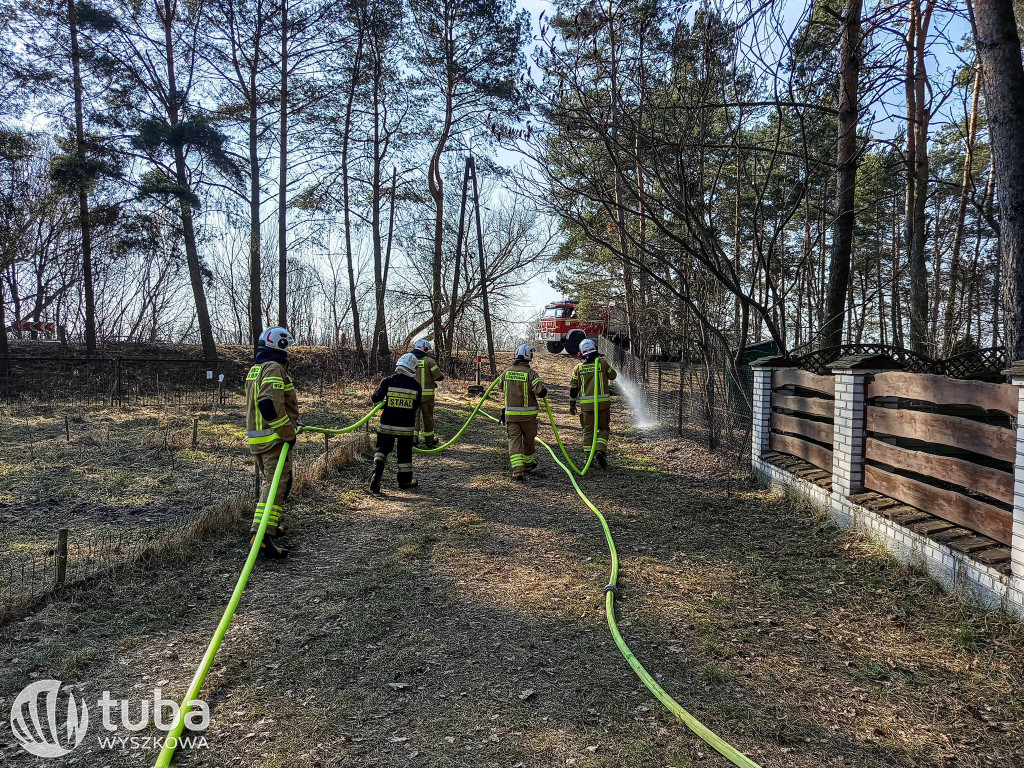 Nietypowe interwencje strażaków w gminie Brańszczyk