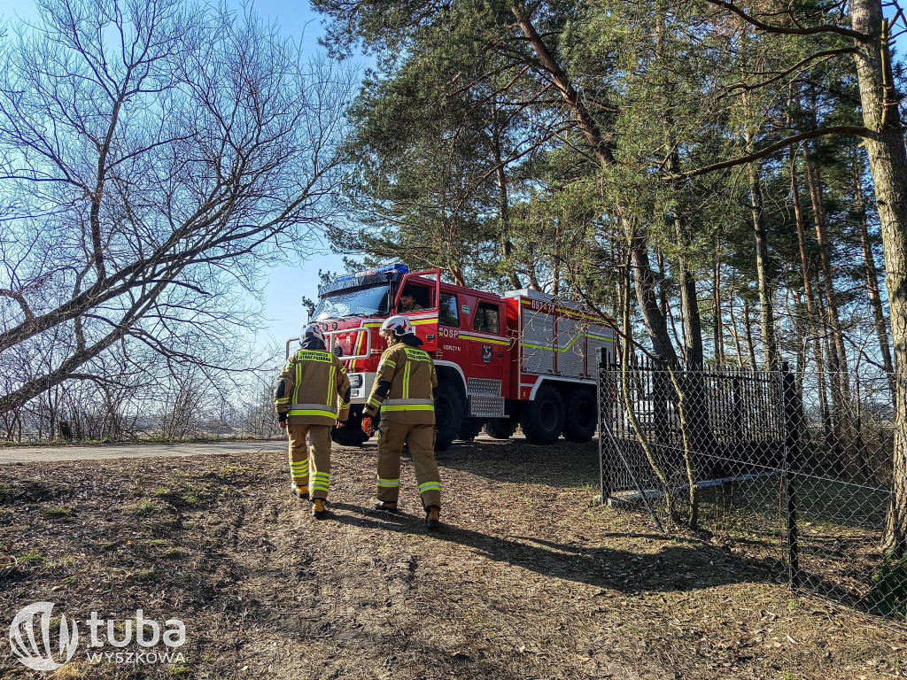 Nietypowe interwencje strażaków w gminie Brańszczyk
