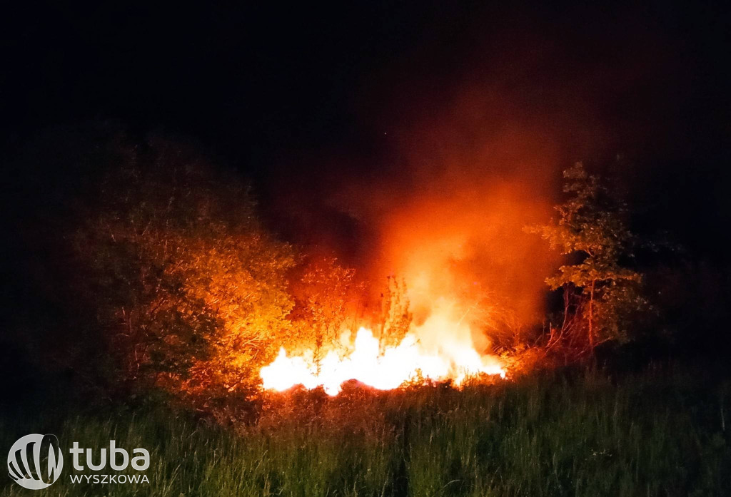 Niebezpieczne pożary traw w Powiecie Wyszkowskim