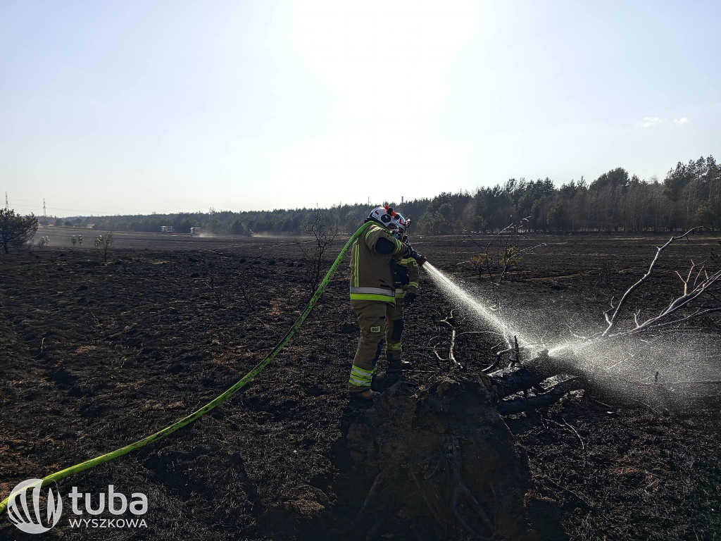 Niebezpieczne pożary traw w Powiecie Wyszkowskim