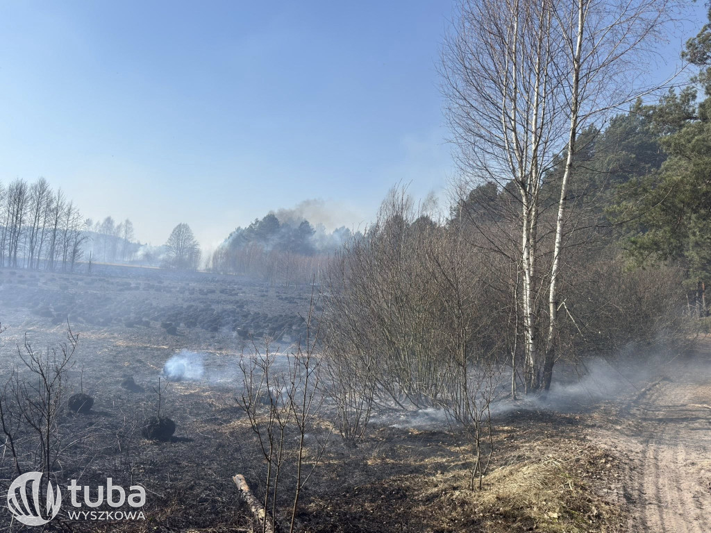 Ogromny pożar łąk i lasów w gminie Zabrodzie