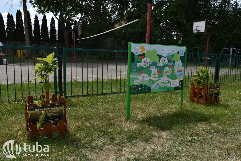 I Kurpiowski Festiwal Bursztynu
