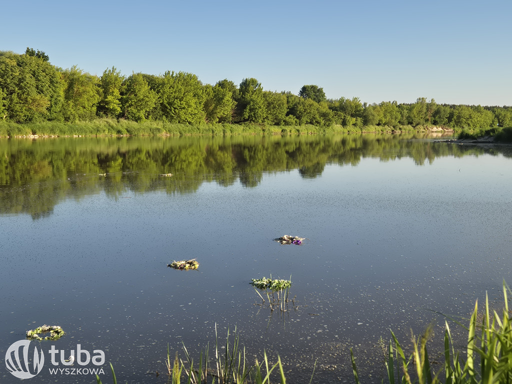 Piknik i wianki nad Bugiem w Rybienku Starym