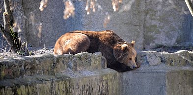 Warszawa przyciąga turystów na city break