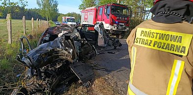 Zderzenie z łosiem. Kierowca nie przeżył