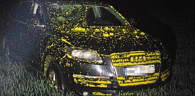Zgłosiła kradzież Audi. Policja szybko odkryła, że to była mistyfikacja