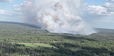 Strażacy z Wyszkowa gaszą pożar lasu w sąsiednim powiecie