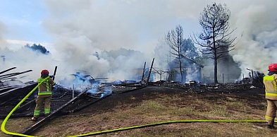 Pożar trzech budynków w Udrzynie