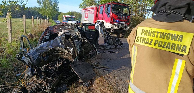 Zderzenie z łosiem. Kierowca nie przeżył