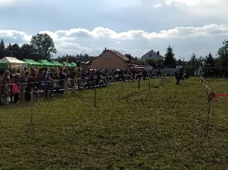 Hubertus jeździecki w Brańszczyku 