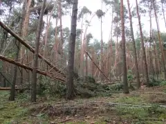 Niszczycielska burza