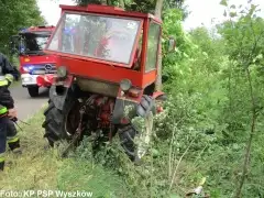 Groźne zderzenia z drzewami