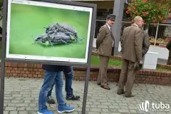 Wystawa niezwykłych zdjęć