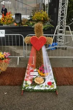Dożynki w Rząśniku
