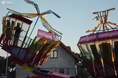 Rząśnik w rytmach disco