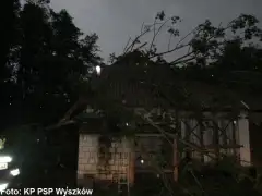 Drzewo powaliło się na budynek